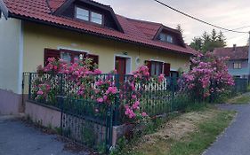 Kuca Za Odmor ,Erdelj 21 B