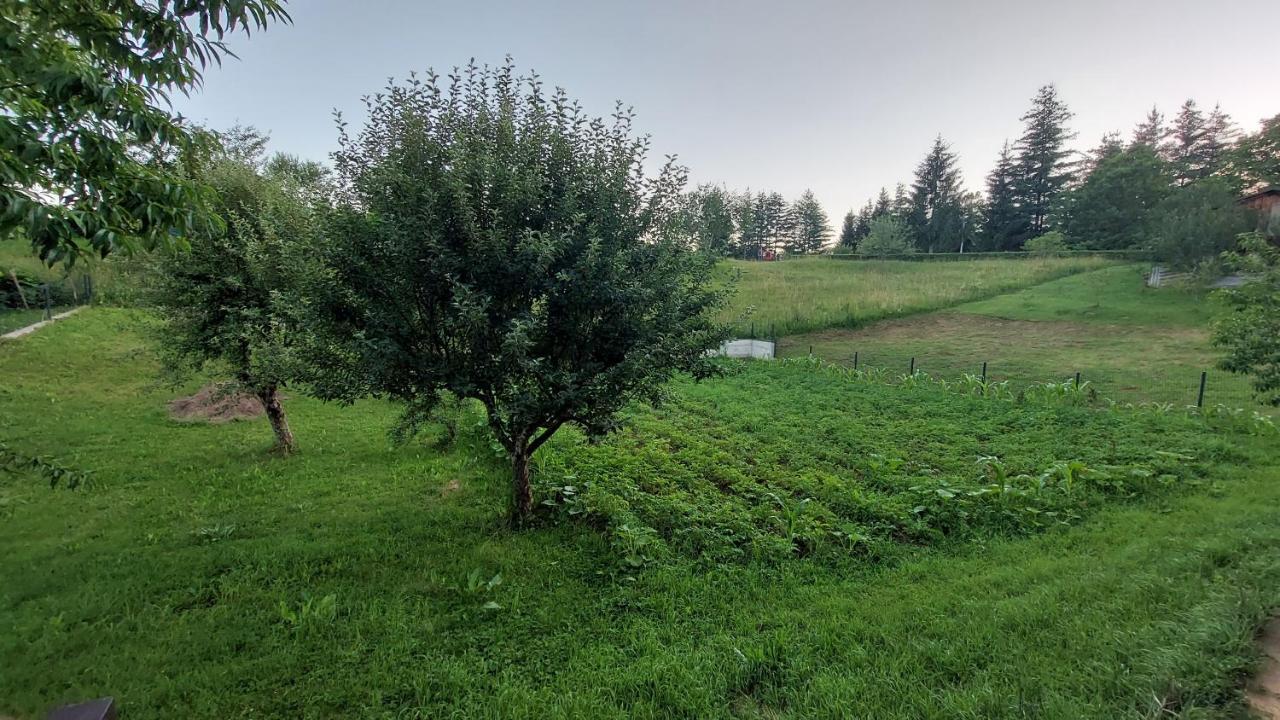 Ferienwohnung Kuca Za Odmor ,Erdelj 21 B Generalski Stol Exterior foto